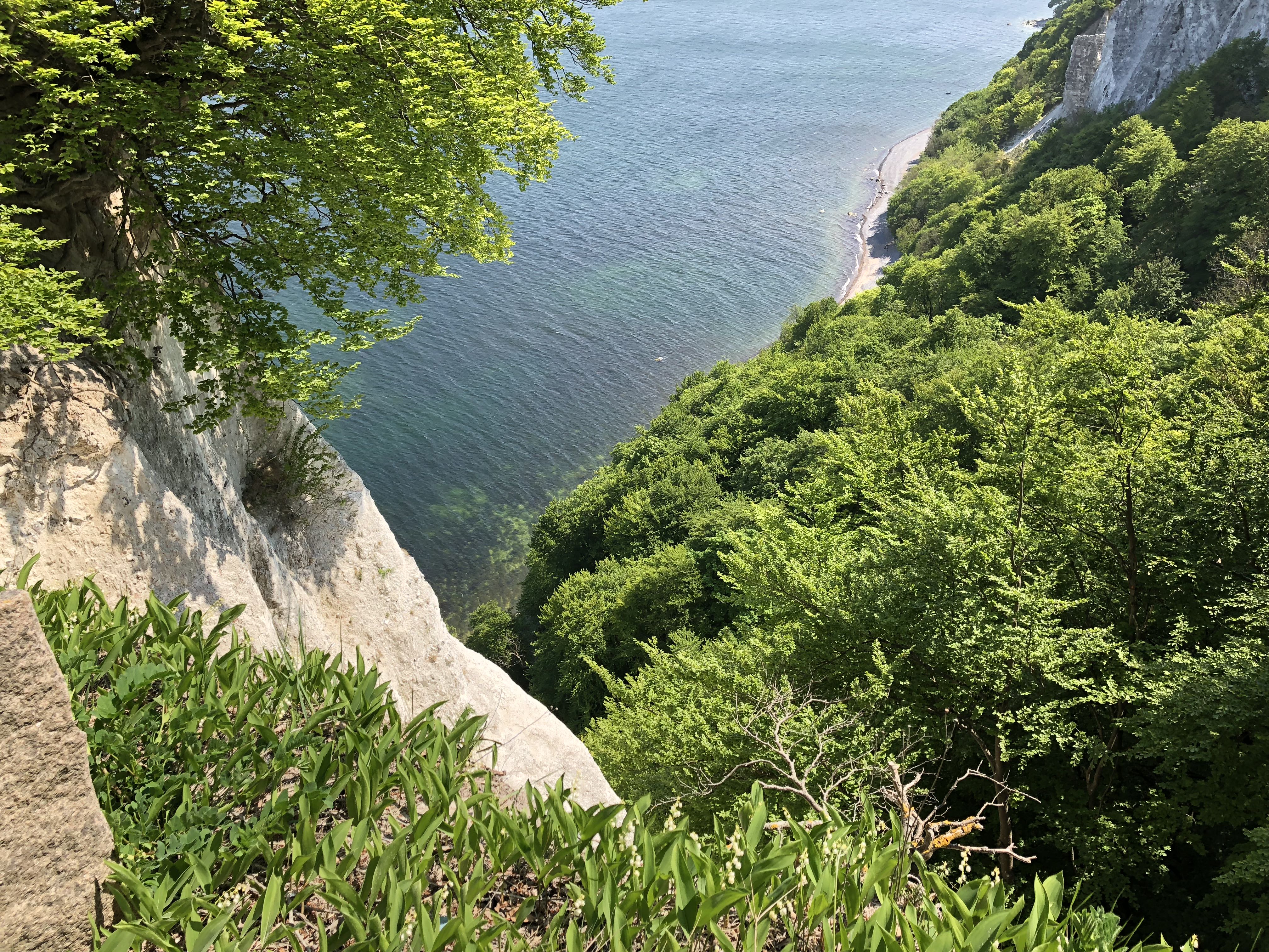 Kredowe skały Rügen