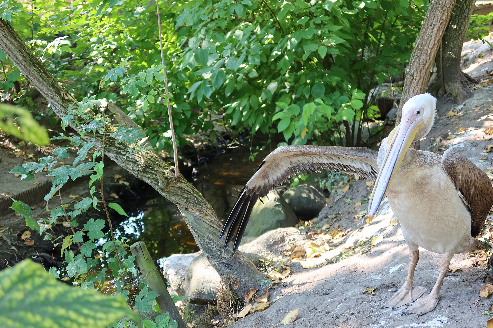 Zoo Stralsund